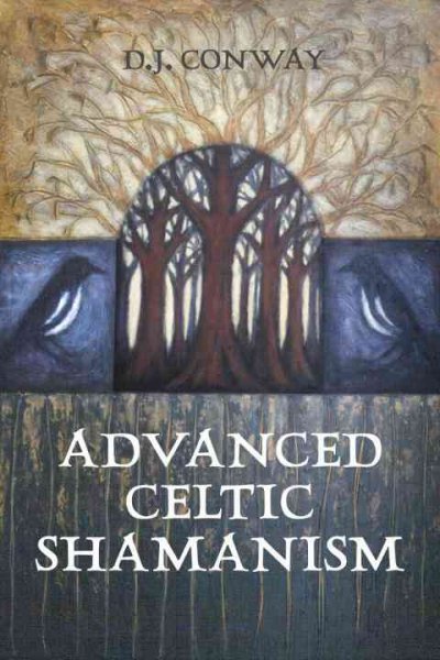 Advanced Celtic shamanism / D.J. Conway.