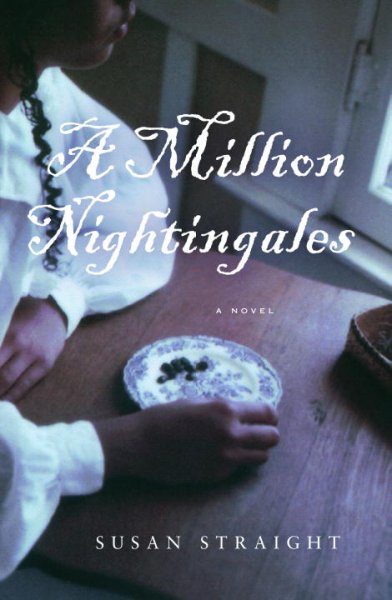 A million nightingales / Susan Straight.