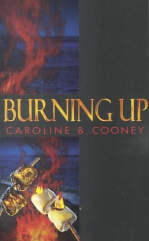 Burning up : a novel.