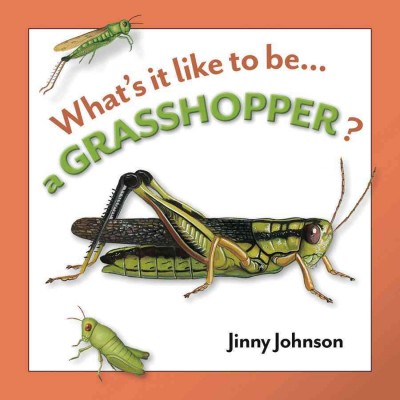 A grasshopper / Jinny Johnson ; illustrated by Desiderio Sanzi.