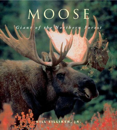 Moose : giant of the northern forest / Bill Silliker, Jr.