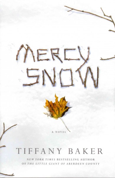 Mercy Snow : a novel / Tiffany Baker.