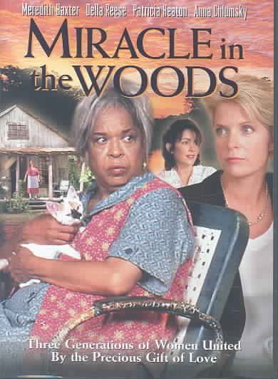 Miracle in the woods / producer, Stephanie Hagen ; directed by Arthur Allan Seidelman.