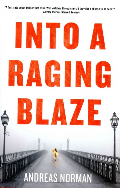 Into a raging blaze / Andreas Norman ; translated by Ian Giles.