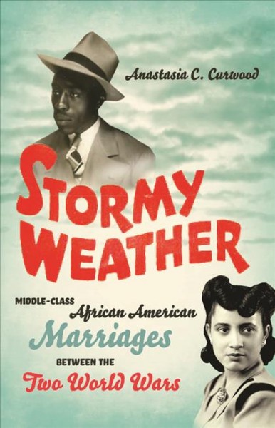 Stormy weather [electronic resource] : middle-class African American marriages between the two World Wars / Anastasia C. Curwood.