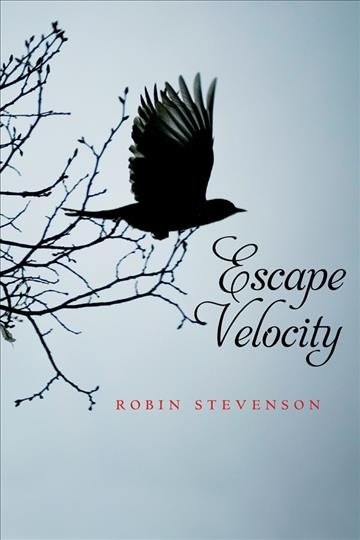 Escape velocity / Robin Stevenson.