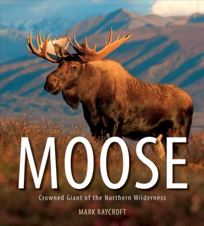 Moose : crowned giant of the northern wilderness / Mark Raycroft.
