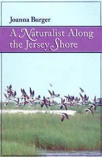 A naturalist along the Jersey shore / Joanna Burger ; drawings by the author.