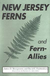 New Jersey ferns and fern-allies / James D. Montgomery and David E. Fairbrothers ; illustrated by Kathleen L. John-Alder.