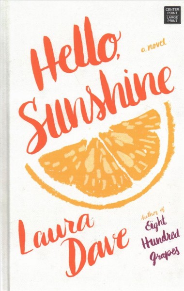 Hello, sunshine [text (large print)] / Laura Dave.