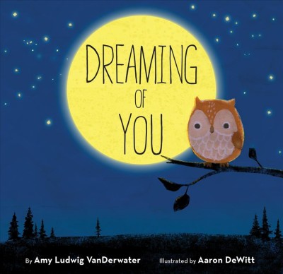 Dreaming of you / by Amy Ludwig VanDerwater ; illustrated by Aaron DeWitt.