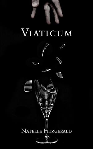 Viaticum : a novel / Natelle Fitzgerald.
