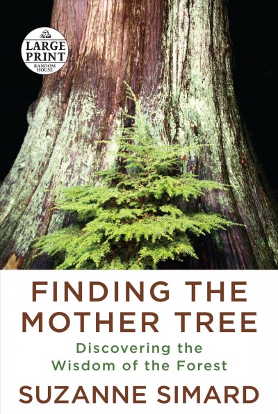 Finding the mother tree [large print] : discovering the wisdom of the forest / Suzanne Simard.
