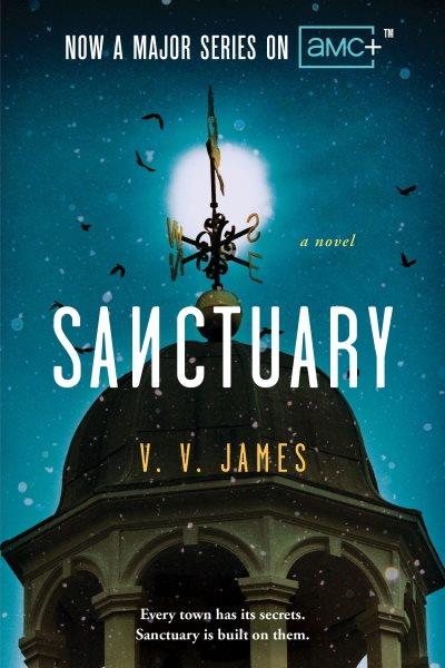 Sanctuary [electronic resource] / V.V. James.