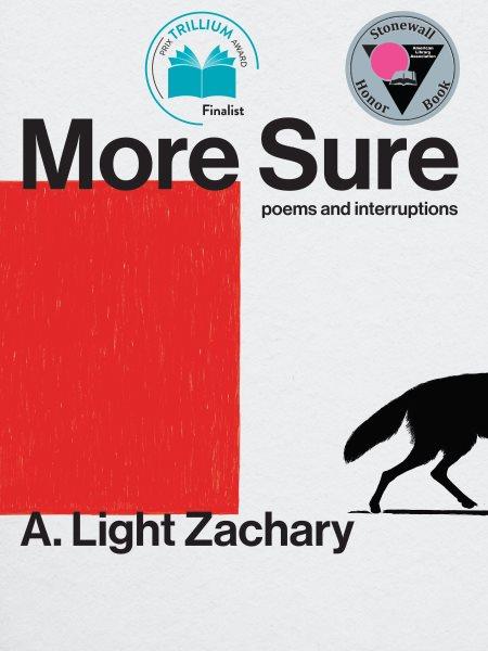 More sure [electronic resource]. A. Light Zachary.