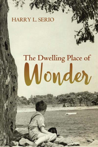 The dwelling place of wonder / Harry L. Serio.