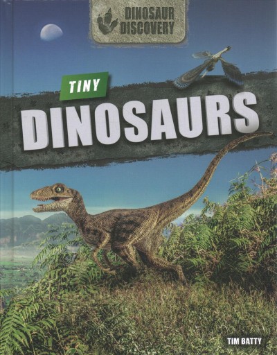 Tiny dinosaurs / Tim Batty.