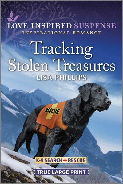 Tracking stolen treasure / Lisa Phillips.