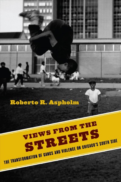 Views from the streets : the transformation of gangs and violence on Chicago's South Side / Roberto Aspholm