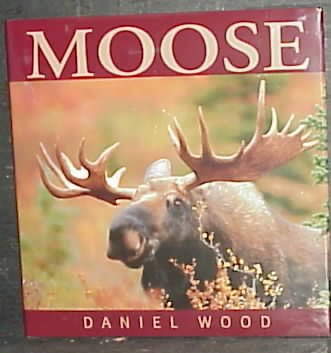 Moose / Daniel Wood.