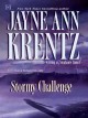 Stormy challenge Cover Image