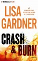 Crash & burn  Cover Image
