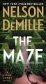 The Maze Cover Image