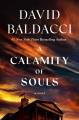A calamity of souls  Cover Image
